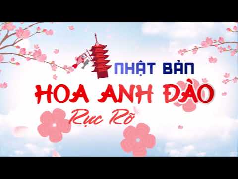 Tour du lịch Nhật Bản Mùa Hoa Anh Đào rực rỡ chỉ từ 28tr990VNĐ - TransViet Travel