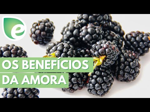 Conheça os benefícios da amora