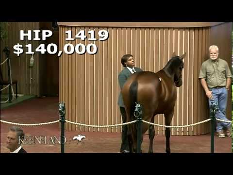 Hip 1419, Sweet Reason - 2012 September Yearling Sale