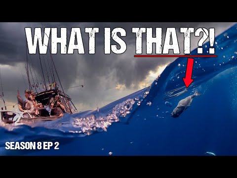 DEEP SEA FISHING ADVENTURE -  S8 EP2 Whangaroa