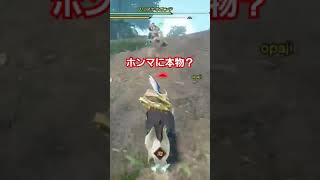 とある日の日常にまさかの人が！ #モンハン