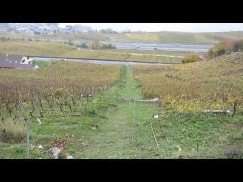 Standseilbahn 1803.02 Chardonne - Les Bedaules - Ouest Talfahrt - Telefuni