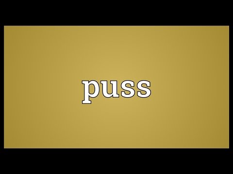 Puss Meaning