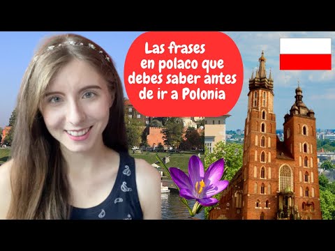 Polish phrases you need to know to survive in Poland 🇵🇱🤍❤️