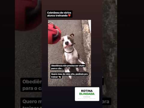 Depoimento aluno Rotina Blindada