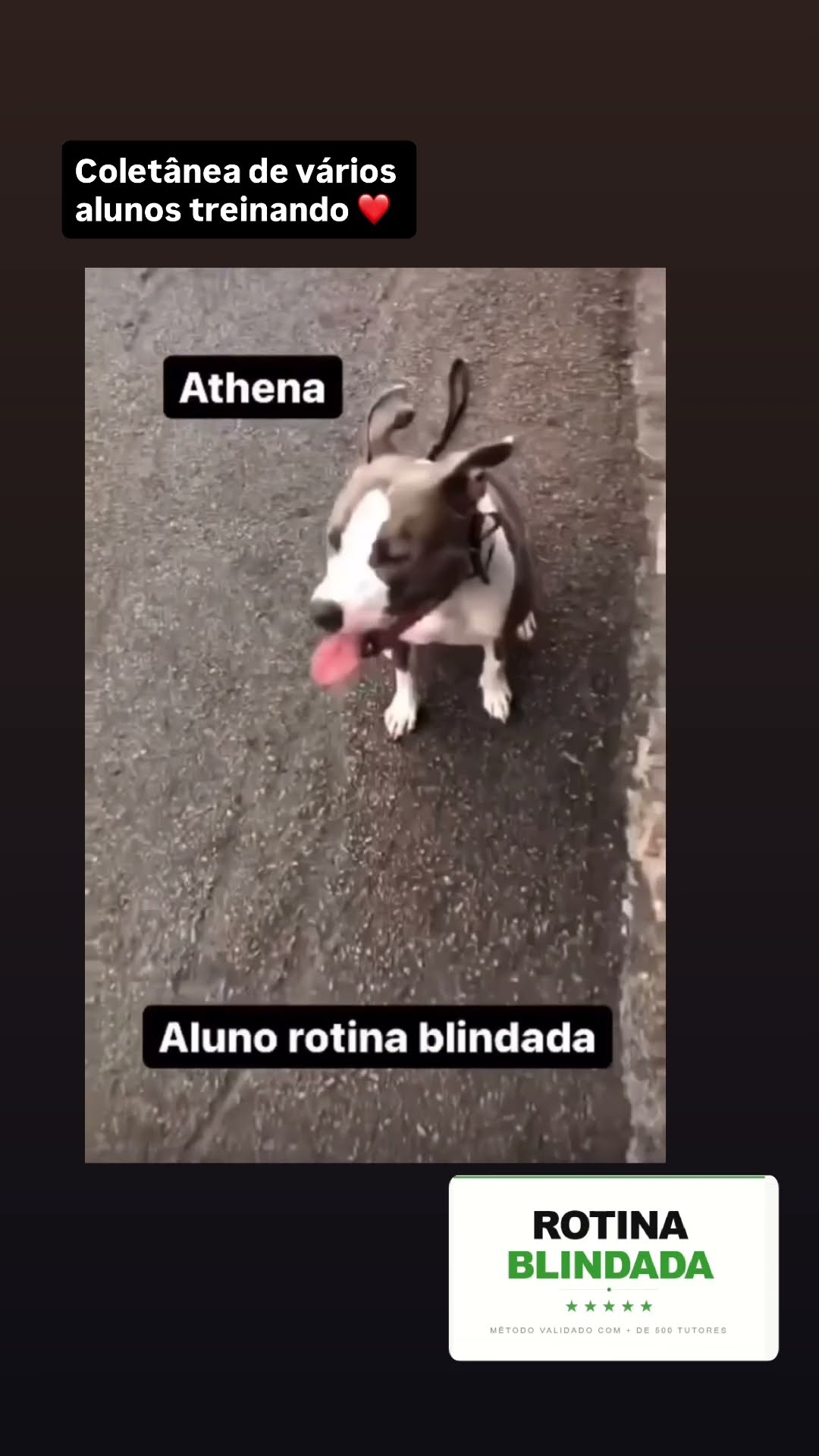 Depoimento