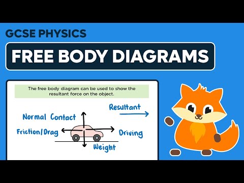 Free Body Diagrams - GCSE Physics