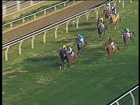 Galoppo 17/12/2017 - 6ª corsa