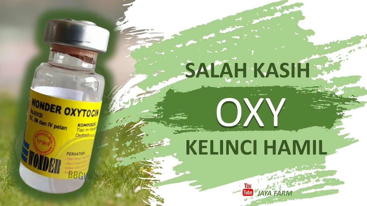 HATI-HATI PAKE OXYTOCIN