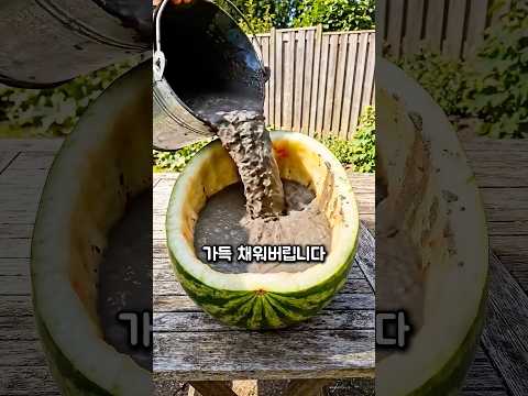 수박 껍질에 시멘트를 채워버리는 이유