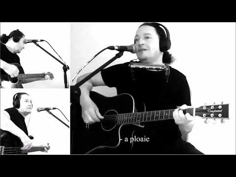 Dan Vasilescu - Plouă