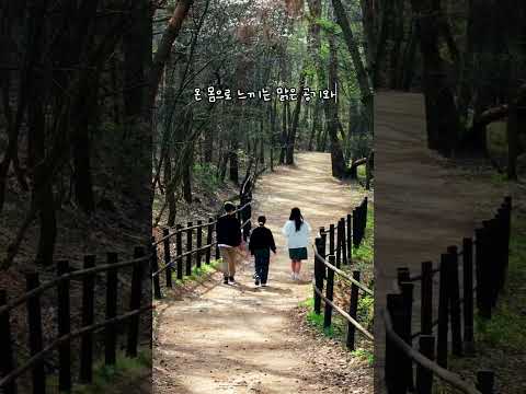태양을 피하는 가장 쉬운 방법, #문경하늘재 나무지붕 아래로 놀러오세요!