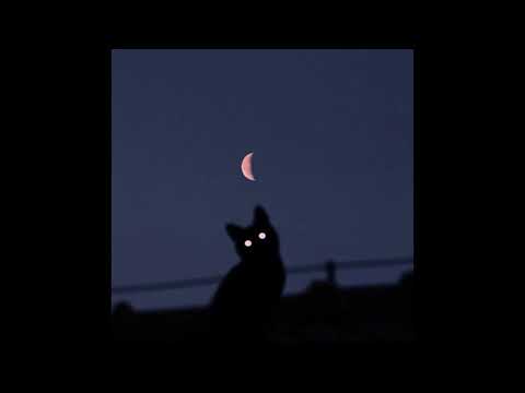 (free) *shoegaze* thxsomch x alt rock x dnb shoegaze type beat - "twelve"