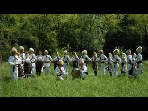 ORKESTAR MLADI LUKOVCI - VLAŠKO, RUMENKA, ŽIKINO KOLO (VlaškiMelos)