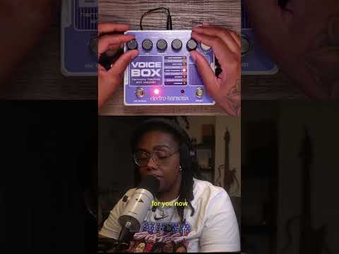 Electro-Harmonix Voice Box Harmony Machine & Vocoder 2009 - Present - Purple / Black image 9