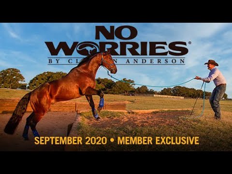September NWC Preview: Academy Horse Training Diary