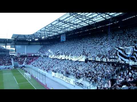 Cupfinale 2010, Sturm - Wr. Neustadt