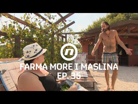 Svađa na Olimpu - Epizoda 35 | Farma More i Maslina