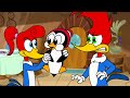 Woody S Date Crasher Woody Woodpecker 1 Hour Compilation