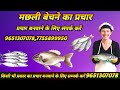 Machhali Ka Prachar Machhali Prachar Machhali Wala Prachar Machhali Bechne Ka Prachar मछली �