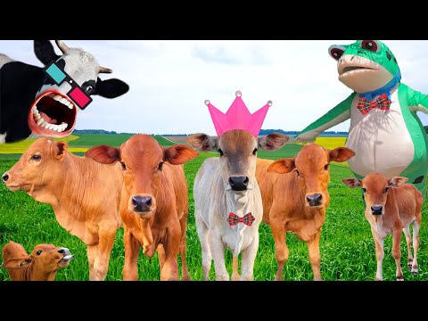 con bò, CON BÒ - nhạc con bò - con bò ăn cỏ - bài hát con bò.