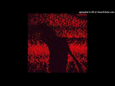 (FREE) WARYKID X TAKIZAVA TYPE BEAT - "broken glass" [PROD. XONDRA]