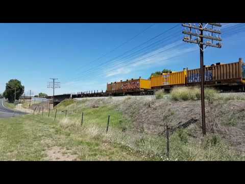 Empty steel train junee