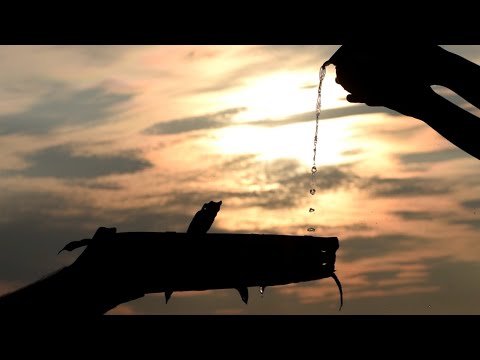 Anshu Kalwar Assamese devotional song