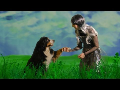 Lilla Lovis - Vacker tass, gullig hund