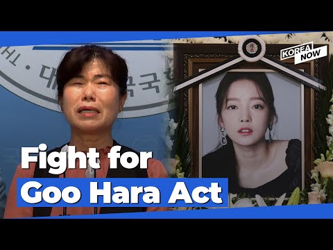 Fight for ‘Goo Hara Law’: Disinheriting parents who abandon their children