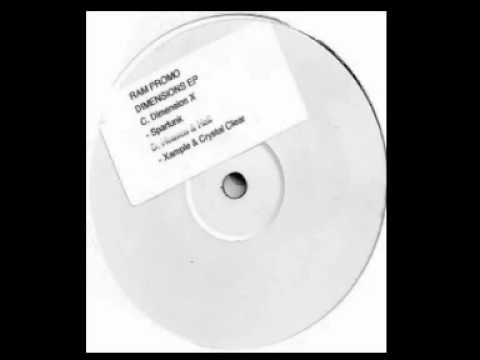 Sparfunk - Dimension RAMM58