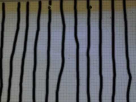 Ed Sheeran - Sofa (Lyric Video)