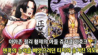 [원피스 1059화 심층분석 1부]아마존 릴리 황제의 아들 쥬라클 미호크 그리고 핸콕의 능력을 빼앗으려던 티치의 숨겨진 의도