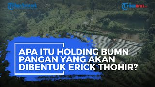Apa Itu Holding BUMN Pangan yang akan Dibentuk Erick Thohir?