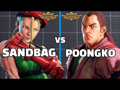 SFV - Sandbag Cammy VS Poongko Dan