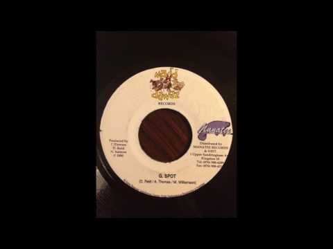 G. Spot Riddim Mix (Madd Dawgz Records, 2000)