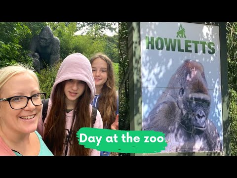 image-What is the best wildlife park in Kent?