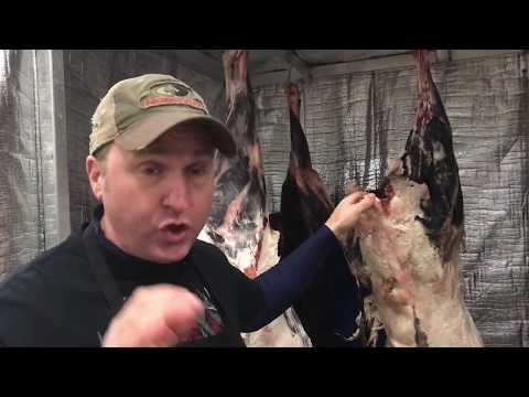 download lagu mp3 mp4 Butchers Walk In Fridge, download lagu Butchers Walk In Fridge gratis, unduh video klip Butchers Walk In Fridge