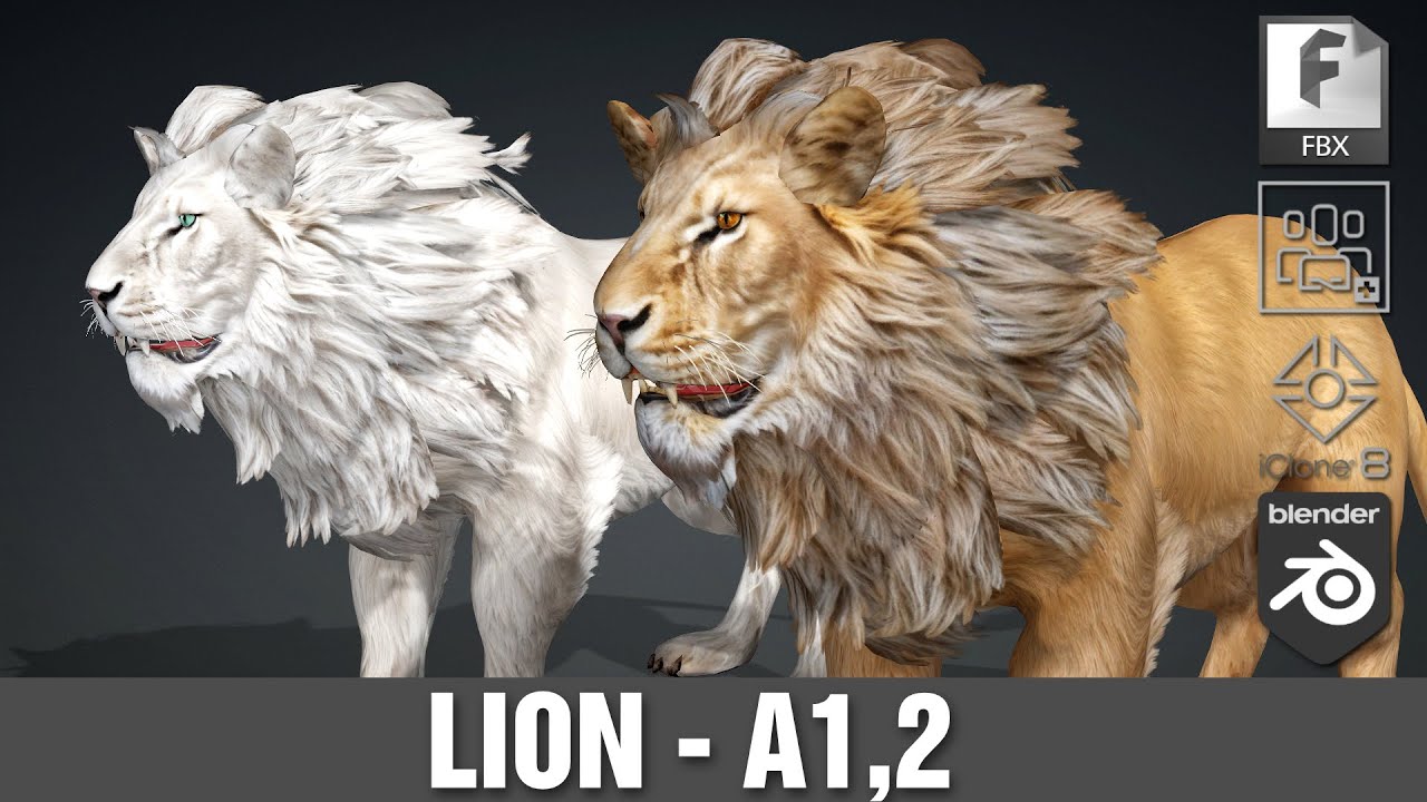 Lion-A1 3D Model