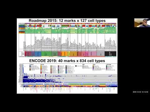 MIT CompBio Lecture 09 - Epigenomics II (Fall '19)