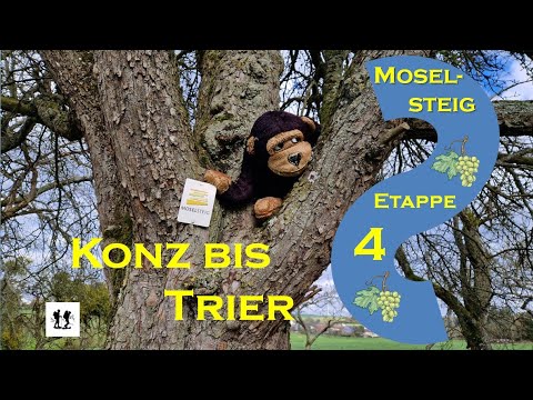 #Moselsteig, Etappe 4:  Konz nach Trier
