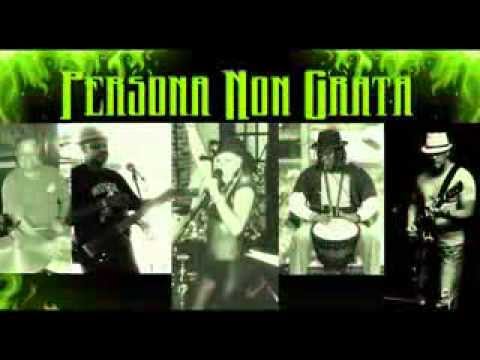 Persona Non Grata - the Band 2014