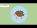 How to Take Care of a Hedgehog