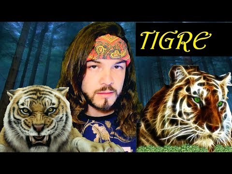 Animal de Poder Tigre