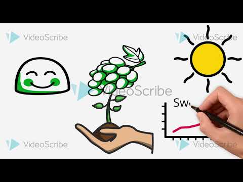 Botrytis Wine: How Noble!