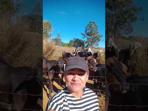 Caminhada sertaneja Comunidade Santa Rita município Vianópolis Goiás Brasil