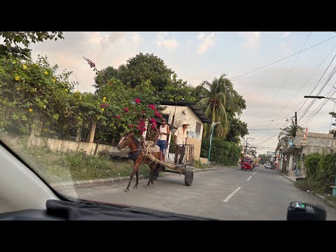 Desde Masagua Escuintla