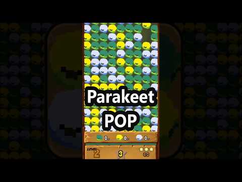 Parakeet POP