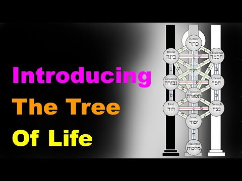 The Tree of Life: A Beginner's Guide [Esoteric Saturdays]