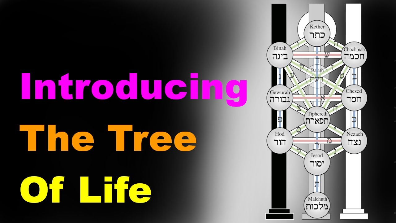 The Tree of Life: A Beginner's Guide [Esoteric Saturdays]